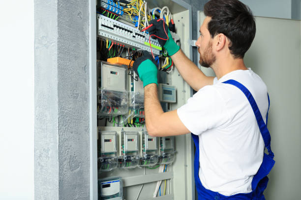 Best Residential Electrician Services  in Ludington, MI