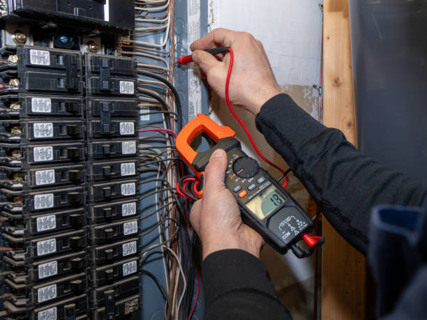 Best Ceiling Fan Installation Electrician  in Ludington, MI