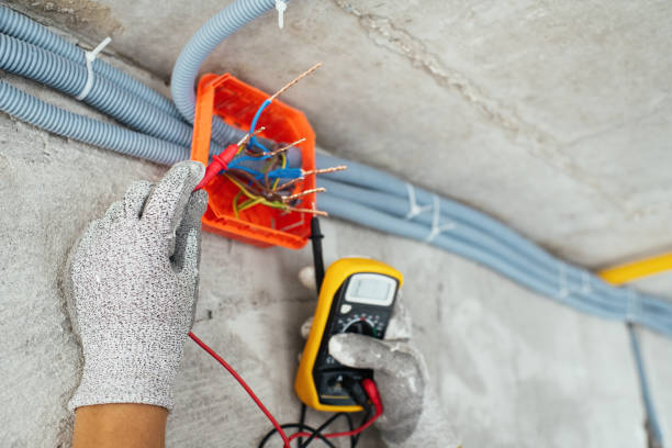 Best Affordable Electrician  in Ludington, MI